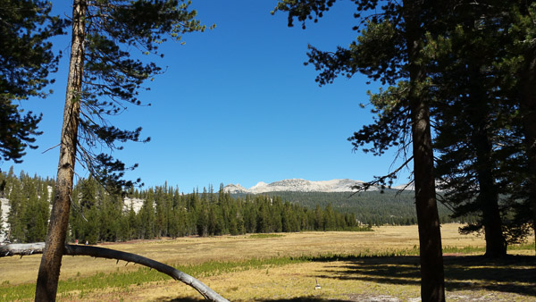 Tioga Pass